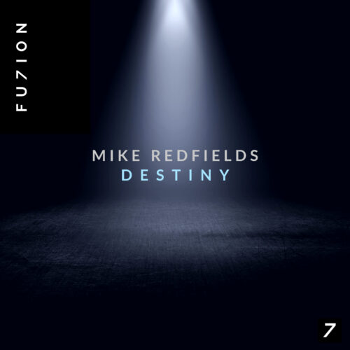 Destiny Artwork Destiny Artwork